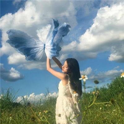 完美革命